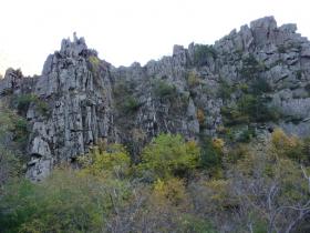 photo coins arrondis